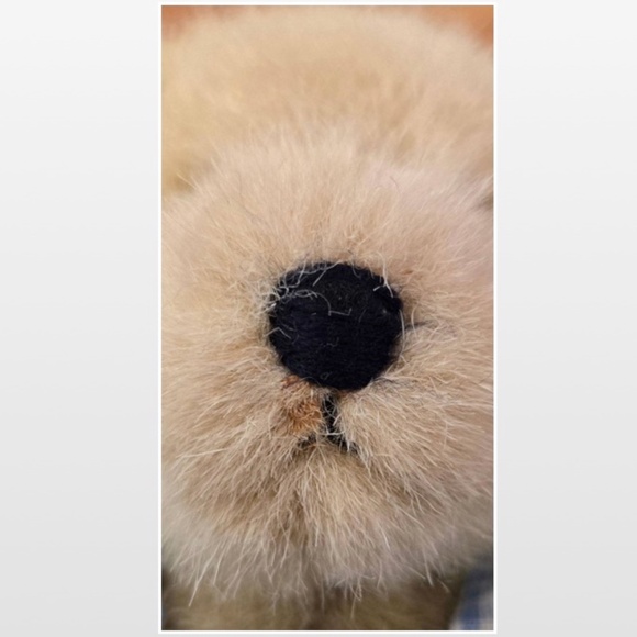 Vintage Muffy Vanderbear Teddy Bear Down On The Farm Blue Floral Dress VTG - Picture 13 of 13